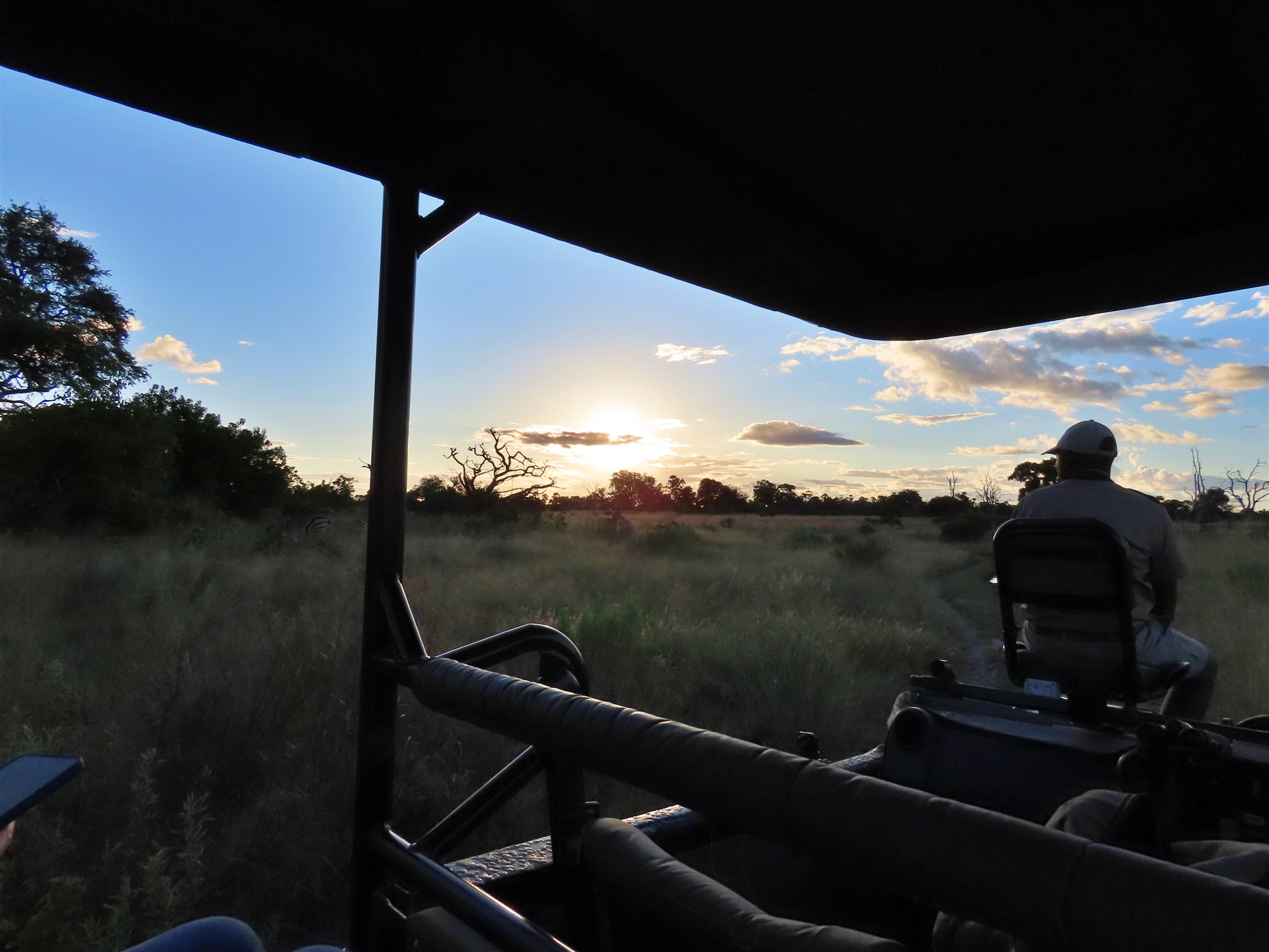 Sunset wildlife drive viewed from an open safari vehicle