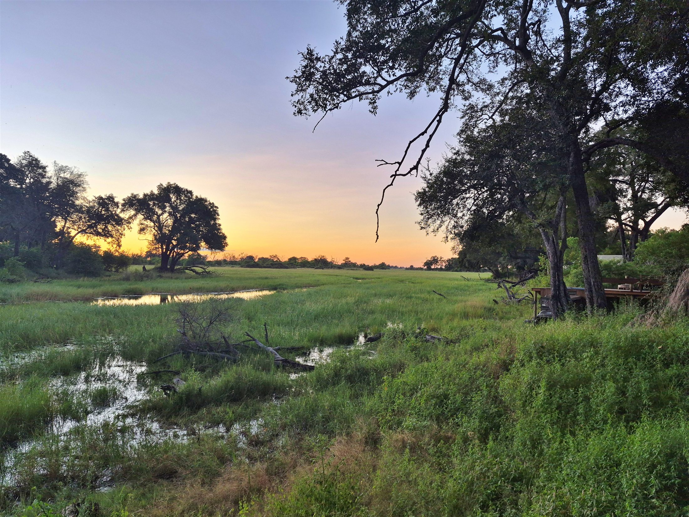 African wetland landscape at sunset