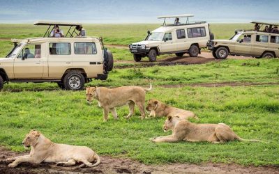 Arusha to make travel easier for tourists